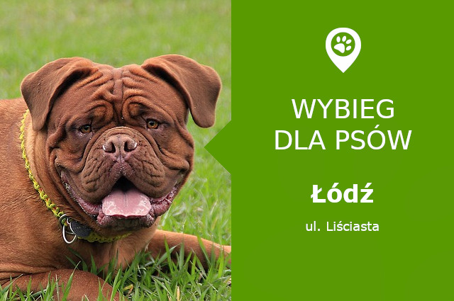 Psi park Łódź