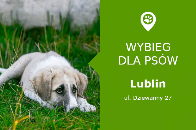 Psi park Lublin
