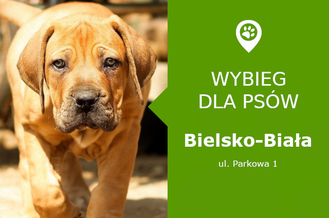 Wybieg dla psów Bielsko-Biała