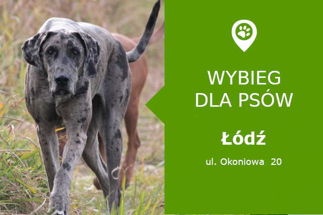 Wybieg dla psów Łódź