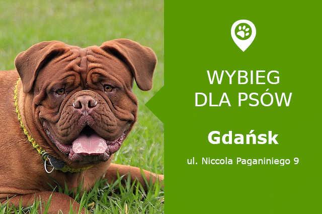 Plac zabaw dla psów Gdańsk, ul. Niccola Paganiniego 9, dzielnica Suchanino, orlik, pomorskie