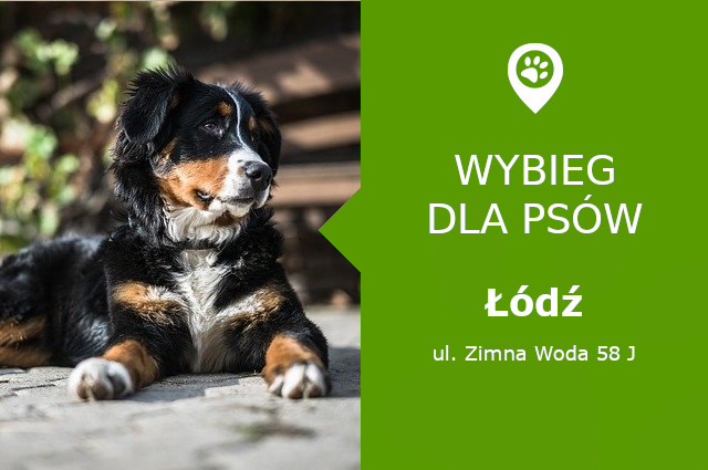 Plac zabaw dla psów Łódź