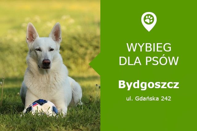 Psi park Bydgoszcz