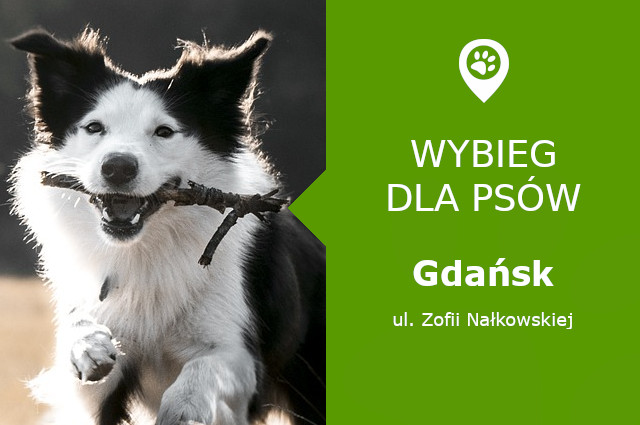 Psi park Gdańsk