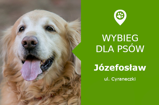 Psi park Józefosław