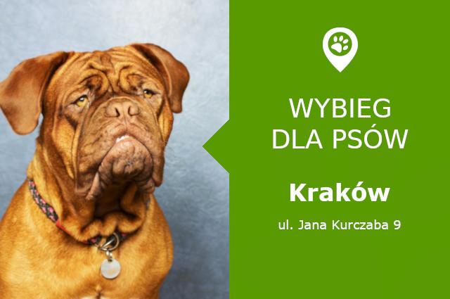 Psi park Krakow, Jana Kurczaba 9, Prokocim, malopolskie