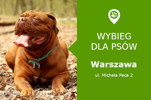 Psi park Warszawa