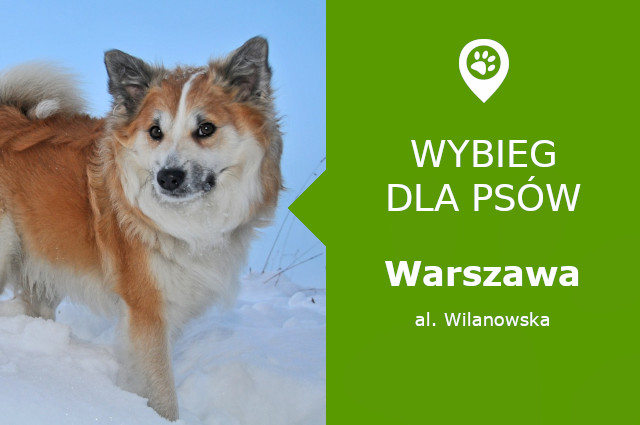 Psi park Warszawa, aleja Wilanowska, plaża Wilanowska, dzielnica Wilanów, mazowieckie