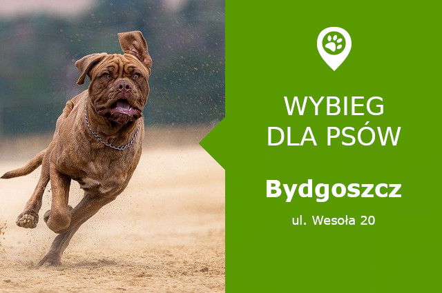 Wybieg dla psów Bydgoszcz