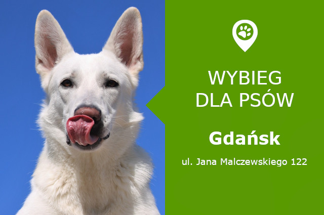 Wybieg dla psów Gdańsk