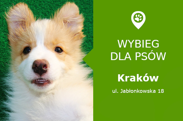 Wybieg dla psów Krakow
