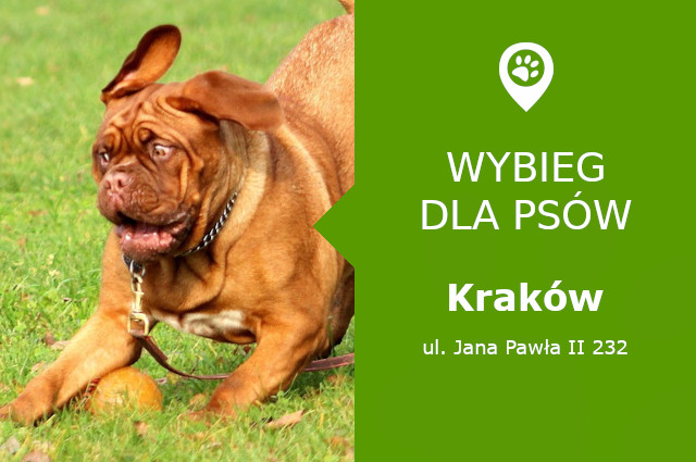 Wybieg dla psów Krakow