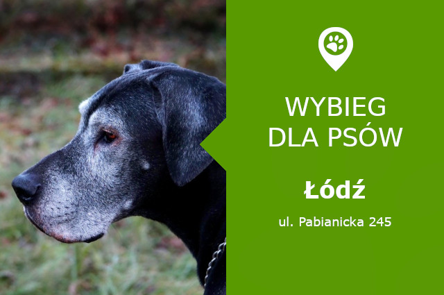 Wybieg dla psów Łódź