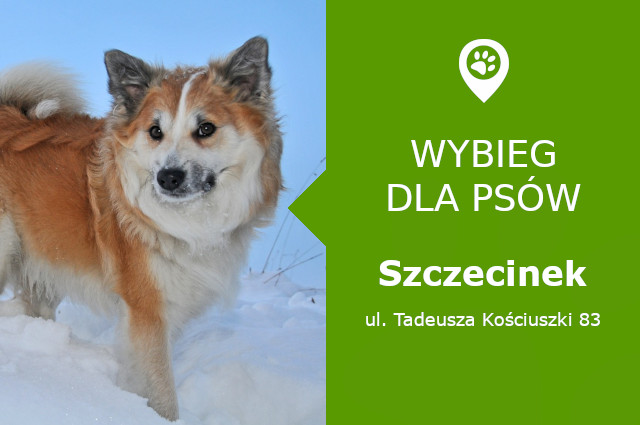 Wybieg dla psów Szczecinek