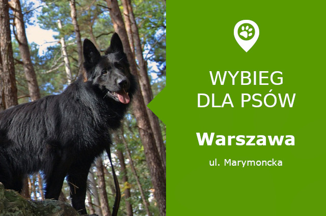 Wybieg dla psów Warszawa