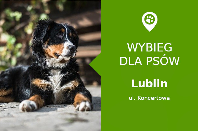 Dog park Lublin
