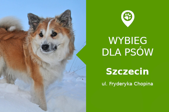 Dog park Szczecin