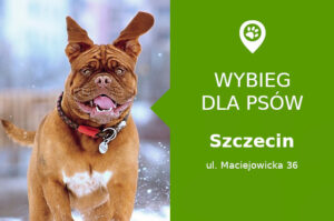 Dog park Szczecin