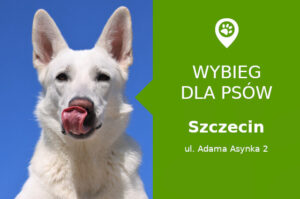 Plac zabaw dla psów Szczecin ul. Adama Asynka 2