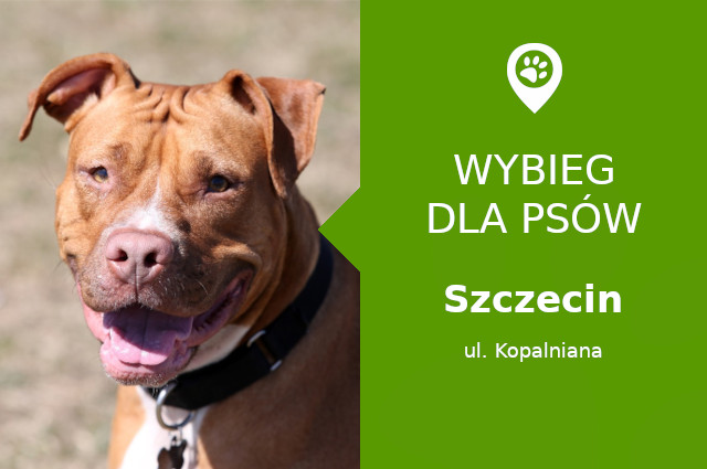 Plac zabaw dla psów Szczecin