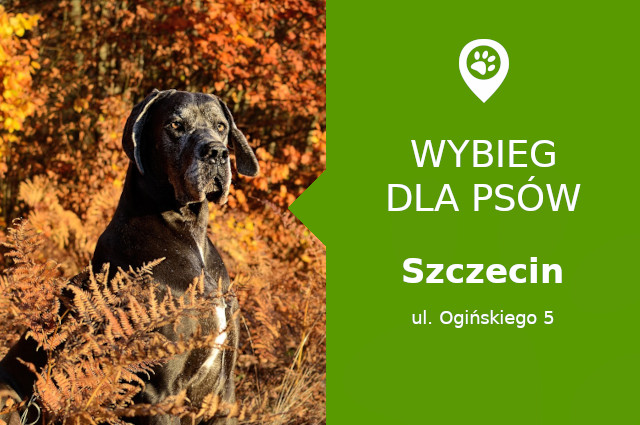 Plac zabaw dla psów Szczecin, Ogińskiego 5, dzielnica Łękno, Park Kasprowicza, zachodniopomorskie